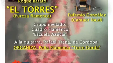 evento imagen del cartel del Festival Benéfico de Arte Español y Flamenco Ferias 2016 Miguelturra