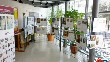 evento imagen de la exposición sobre Cervantes y Shakespeare, marzo 2017