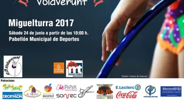 evento imagen cartel jornada convivencia Volaverunt, junio 2017, diseño cartel Centro de Internet