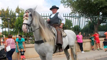 eventos imagen Pasacalles Caballos Ferias del 2013 de Miguelturra