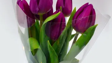 evento imagen de un ramo de flores