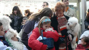 imagen procesión de San Antón del pasado año