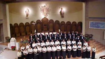 imagen de la Coral Silíceo de Toledo