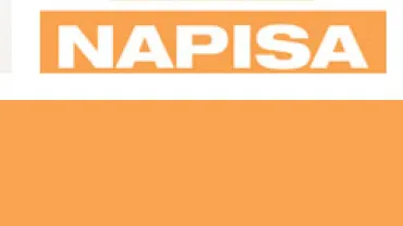 anagrama Napisa