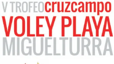 imagen parte del Cartel Trofeo Voley Playa 2012