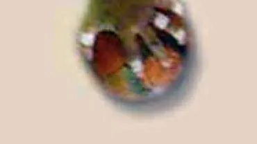 imagen alusiva al balonmano