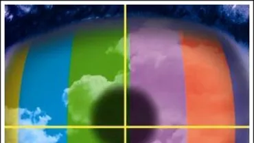 imagen logo television digital terrestre