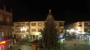 imagen del árbol navideño de la Plaza de España