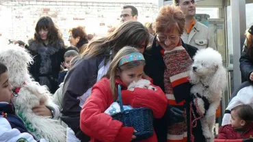 Imagen procesión San Antón 2011.