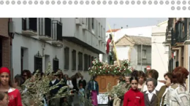 Imagen Procesión Domingo de Ramos 2005