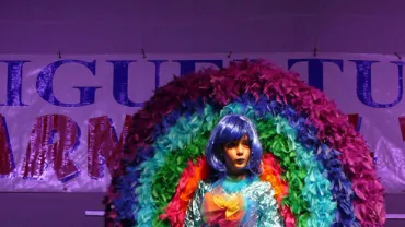 imagen ganadora Traje Individual Carnaval 2010