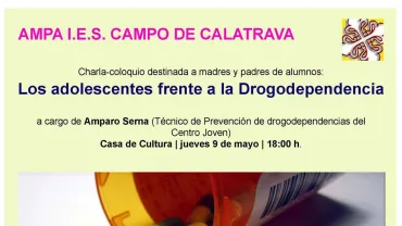 imagen cartel charla en el Instituto, mayo 2013