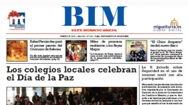 imagen de la portada del BIM de febrero de 2013