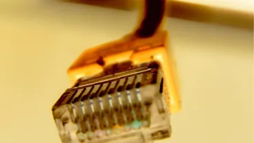 Estadísticas y noticias sobre miguelturra.es