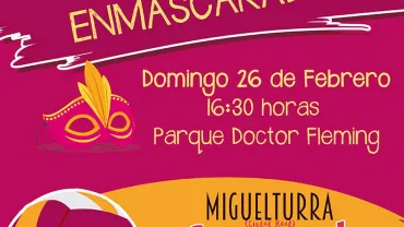imagen del cartel voleibol enmascarado, carnavales miguelturra 2017