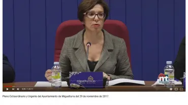 imagen captura pantalla del Pleno del 29 de noviembre de 2017