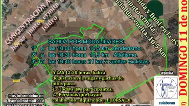 imagen del cartel de la carrera solidaria Fisensi Miguelturra, 11 noviembre 2018