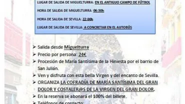 imagen del cartel excursión a Sevilla, agosto 2015