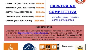 imagen del cartel anunciador de la Carrera Mini del 22 de noviembre de 2015 en Miguelturra