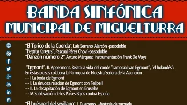 imagen del cartel del Concierto de Solsticio de Verano, junio 2015