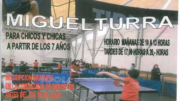 imagen del cartel del taller de tecnificación tenis de mesa, julio 2015