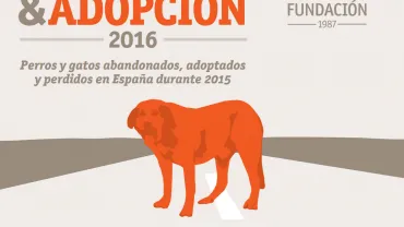 imagen alusiva al Estudio de Abandono y Adopción Fundación Affinity, agosto 2016