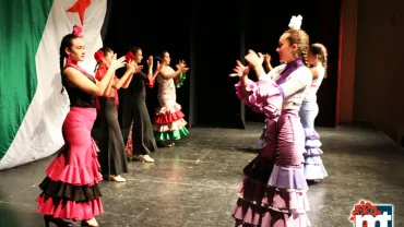 imagen de la Gala Benéfica a favor del pueblo saharaui, noviembre 2015