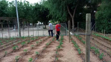 imagen del huerto del abuelo y la abuela de Miguelturra, junio 2018