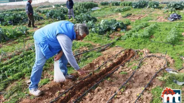 imagen del huerto agroecológico del Ayuntamiento de Miguelturra, Red Terrae