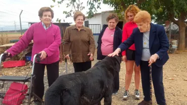 imagen de la jornada campestre de las personas del Servicio de Estancias Diurnas, octubre 2019