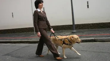 imagen de mujer invidente y su perro lazarillo, guía imprescindible en su autonomía personal