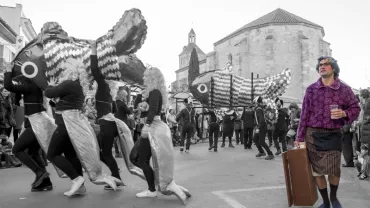 imagen ganadora concurso fotografía Carnaval 2017, autor Juan Antonio Olmeda
