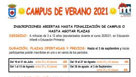 imagen del nuevo cartel del Campus de Verano de Bienestar Social, 2021-07-14