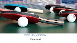 imagen cartel tecnificación tenis mesa agosto 2021