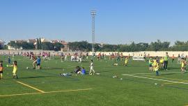 finescuelasdeportivas-2-fuente-diariomiguelturra