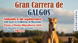 ferias_2025-carrera_de_galgos-v1