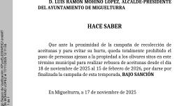 bandocampanaaceituna-aytomiguelturra-18nov2025