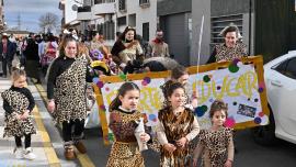 coletas1-2026-02-17-noticia