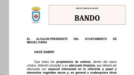 bando-2026-03-17-noticia