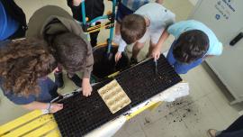 Actividad Nuestras amigas las plantas en Benito Pérez Galdós, Miguelturra abril 2026