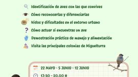 aves-2026-05-20-noticia