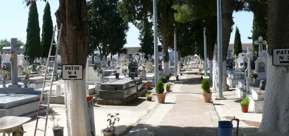 imagen del cementerio de Miguelturra