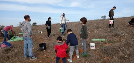 plantación árboles, febrero 2022