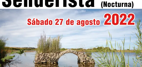 imagen del cartel de Ruta Nocturna Peralvillo, Miguelturra Agosto 2022