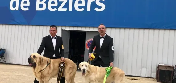 Exposición Canina Internacional Béziers, octubre 2022, imagen 1