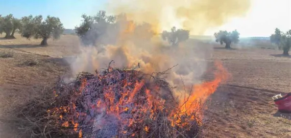 imagen quema de rastrojos