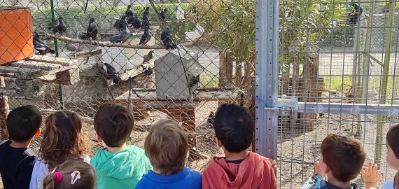 visita a la Granja Orea, abril 2023- imagen 1