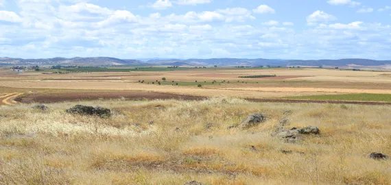 geoparques campo de calatrava