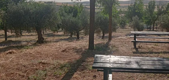 sanisidro-mayo2024-3