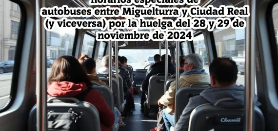 noticia_autobuses-huelganoviembre2024